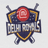 Delhi Royals-logo