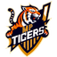 MP Tigers Flag