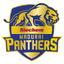 Siechem Madurai Panthers Flag