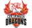 Mangaluru Dragons-logo