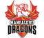 Mangaluru Dragons Flag