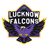 Lucknow Falcons-logo