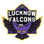 Lucknow Falcons Flag